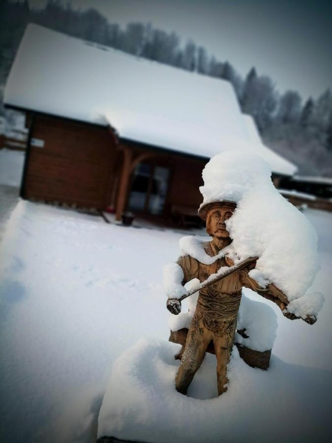 Willa Domek na Berechu Domek w Górach-Pieniny Szlachtowa Zewnętrze zdjęcie
