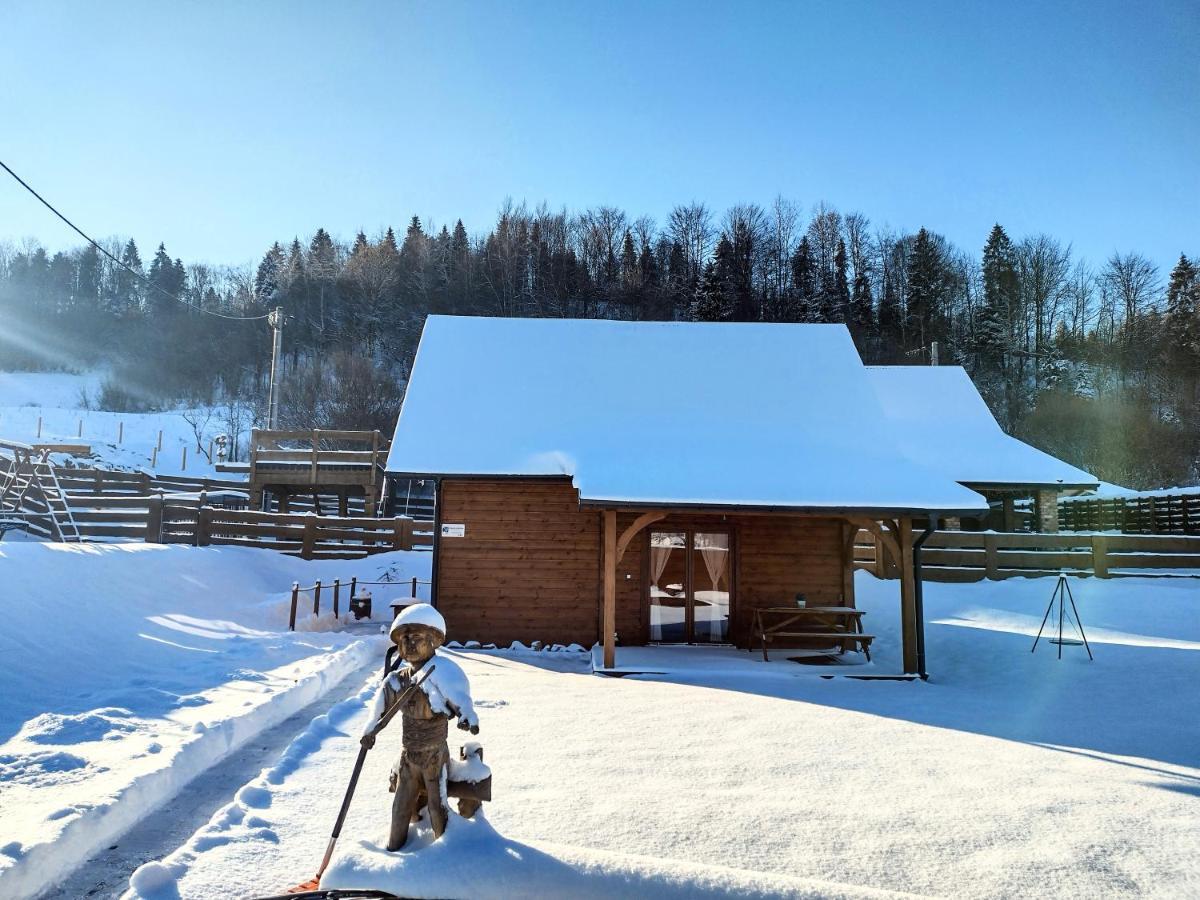 Willa Domek na Berechu Domek w Górach-Pieniny Szlachtowa Zewnętrze zdjęcie